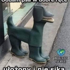 384349081_1958050131243128_1959227498062352180_n