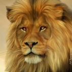 362638168_208167122178090_3468522179762462651_n