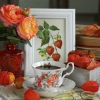 384318973_1028903828562328_8037855051497270295_n