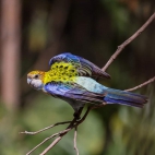 385053917_146922718498849_6712511260269166315_n