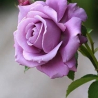 384553909_764400132157917_3280378257699021522_n