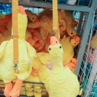 385078821_141426832384702_7896376406453122577_n