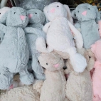 385737453_141426765718042_7781531388369549782_n