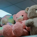 385078752_141426809051371_7636528059320539475_n