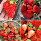 385265717_292643760246932_3470705556158874216_n