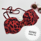 384790257_242884052096567_6102073930839949706_n