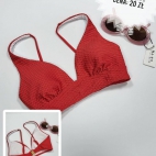 384745349_242883788763260_423240371860698626_n