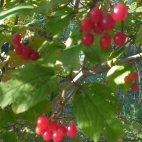 384792447_122190925658000019_5541795078574435164_n