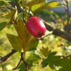 385777788_122190925730000019_5683012601369110600_n