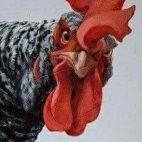 385258446_122102801594063203_5554143367844426341_n