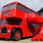 357043608_712520847587061_2306561541770494075_n