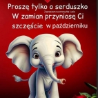 386635916_352756850434788_427839715471643391_n