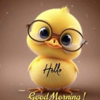 384775481_6693657074043667_6812103431930952286_n