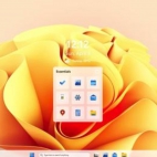 14440207843237465504