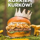 385702415_708750247969103_475022019141202626_n