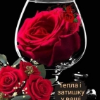 386204680_1455883118589770_5376047616755035993_n