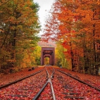 385048579_329873246222890_4804240533746698965_n