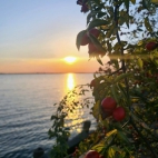 385439373_836127968222140_8017700298954757796_n