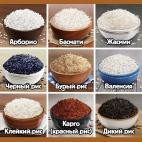 383996094_817929880126339_974282912156195685_n