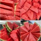 384404096_137209709475286_2266782563743639644_n