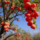 385744424_753950280078391_8624974968101989848_n