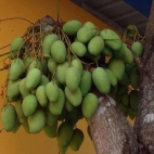 382603340_289253507296549_7513477639761398330_n