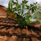 385840385_289253473963219_1513761192976494538_n