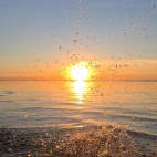 385505816_837323474769256_5189797183132865472_n (1)