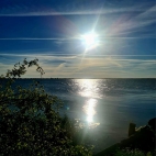 386319044_837323928102544_7926539668997140171_n