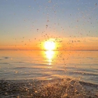 385505816_837323474769256_5189797183132865472_n