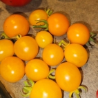 385055885_278021255071245_3856611244491443522_n (1)