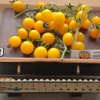 385094261_278021238404580_5870974866172707399_n (1)