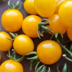 384993466_278021241737913_8636216826348460679_n (1)