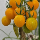 381025159_278021245071246_5999545056718831286_n