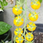 384989211_278021251737912_1911670510881339015_n