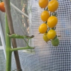 385074782_278021261737911_8751228536343061065_n