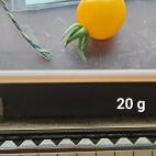 385000033_278021265071244_7286840270175175081_n