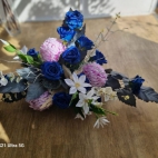 385010563_122125328822026753_6956383097234149119_n