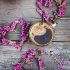 385902899_1031187441667300_1090585376560665068_n