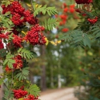 385739736_1031187388333972_5718677854982343116_n