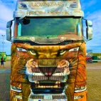 380363292_254013104295225_2526491925641858251_n