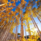 382234618_10161565530643243_1772340265233838959_n