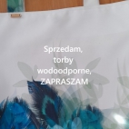 384195489_218372824579066_7543110369209254207_n