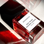 385016207_17896179458893388_6314172801583546203_n