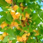 382060112_1439640326831842_7867955273878699068_n