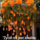 382802592_889266896249530_6365072462429857158_n