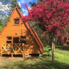 296382591_3391308244478991_5297034560967440603_n