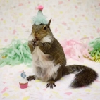 386361319_122100378698067575_6570058700544933483_n