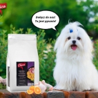 343758996_23853635711700464_2049203883189507747_n