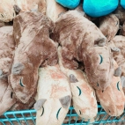 386355545_141427009051351_6765500703576474288_n